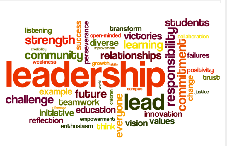 leadership development 1
